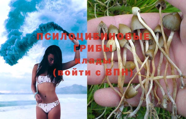 синтетический гашиш Осинники