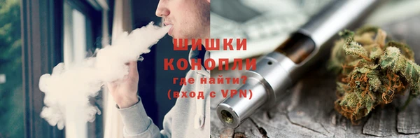 амф Осташков