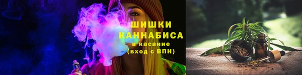 дживик Нягань