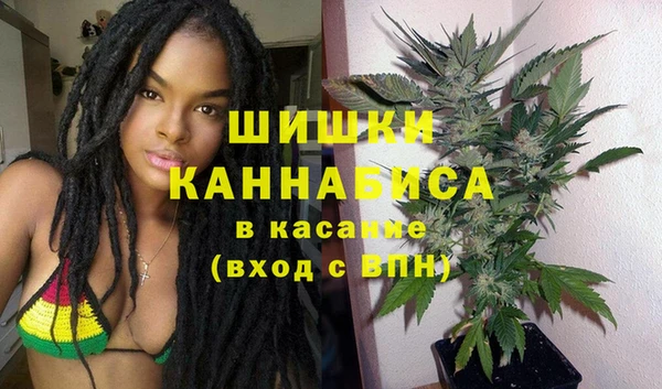 амф Осташков