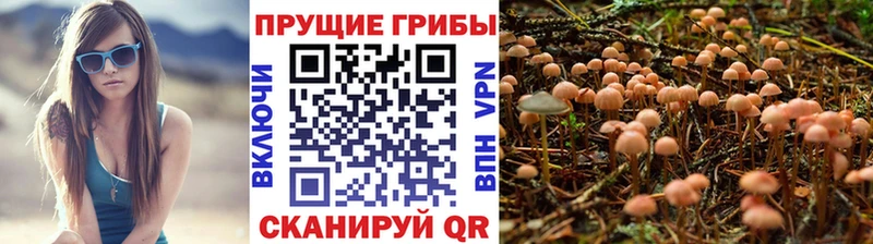 Галлюциногенные грибы ЛСД  Купить закладки  Хилок 